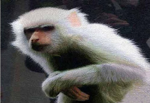 精细、雅洁、秀美的苏绣欣赏(2)_刺绣