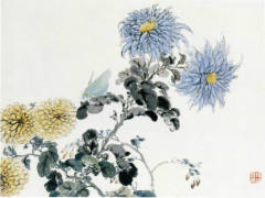 花卉草虫图册之蓝菊