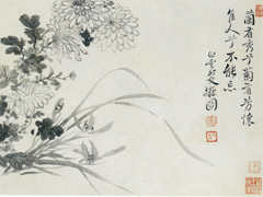 杂画图册之兰菊