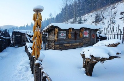 走进东北_直营店空间