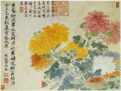 山水花鸟图册之设色菊