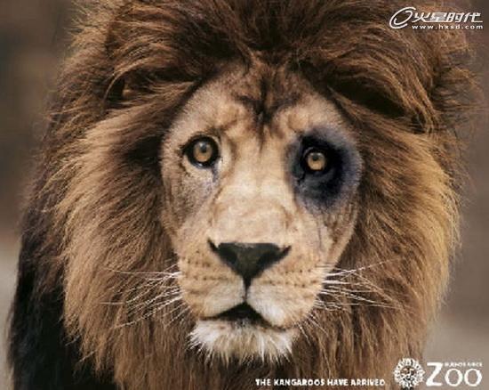 奇思妙想的动物园宣传系列海报(二)(2)_海报设