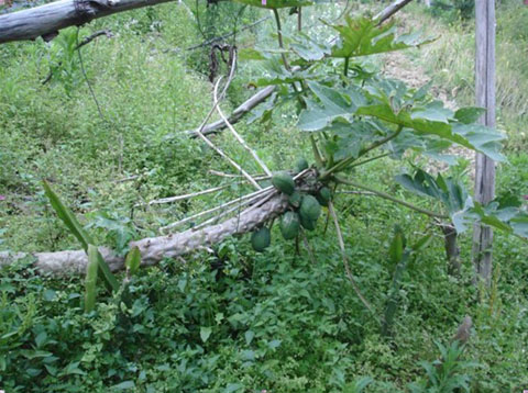 游玩中的景色_拍客达人