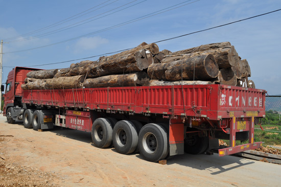 连天红采购团再次满载而归_企业动态_连天红(福建)家具有限公司