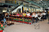 2011中国邮储客户节•连天红红木品鉴之旅——活动花絮