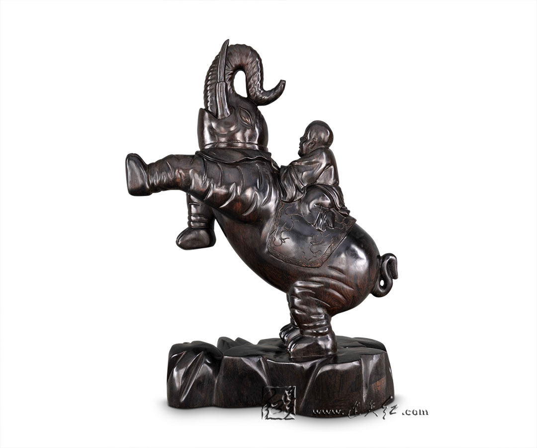 奋发向上-观赏类